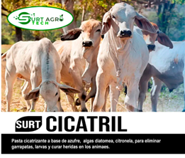 SURT CICATRIL