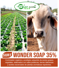 SURT WONDER SOAP